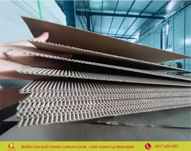 Bìa Carton Phôi Giấy - Mẫu 8