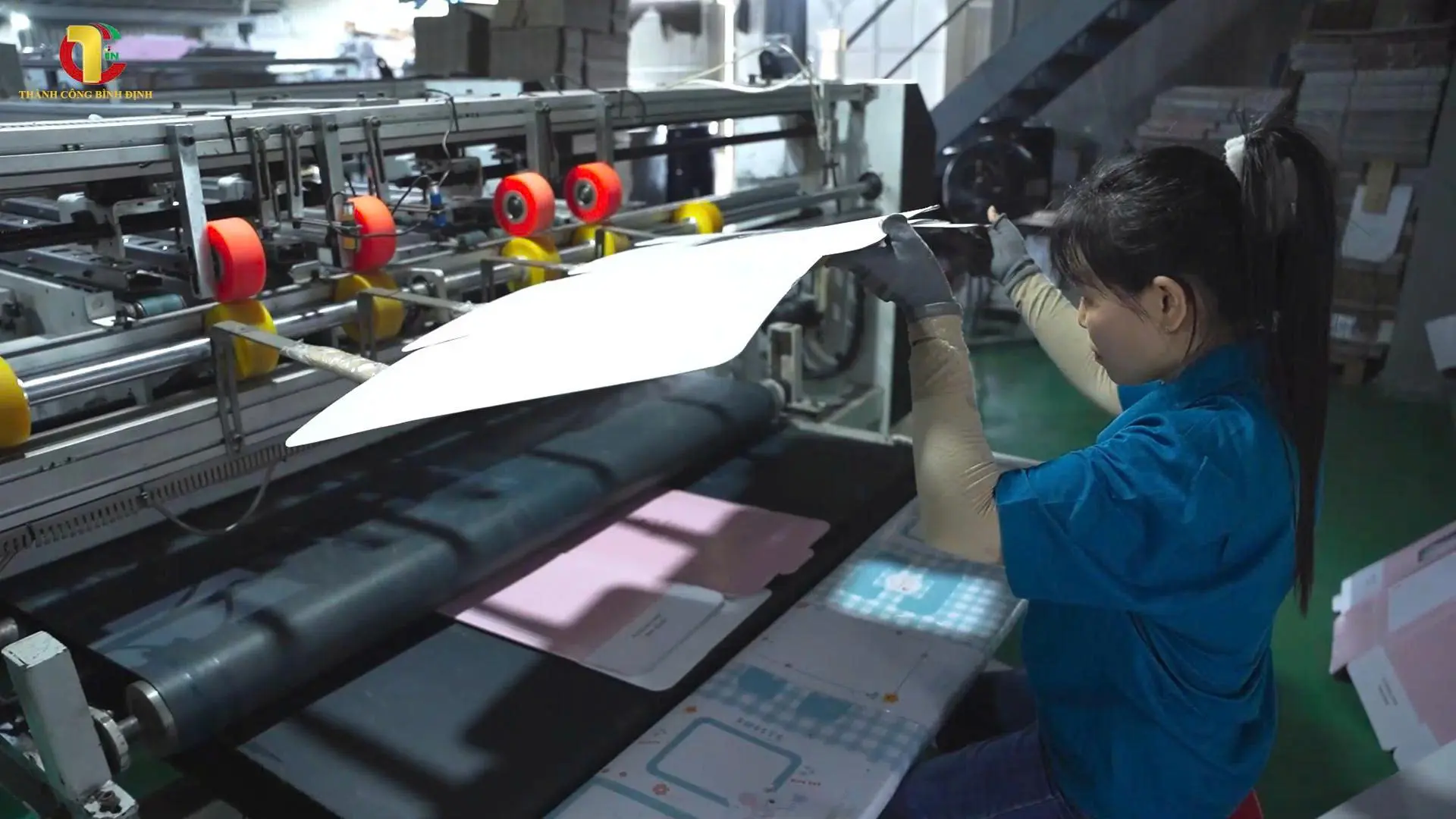 Bao B&igrave; Th&agrave;nh C&ocirc;ng B&igrave;nh Định